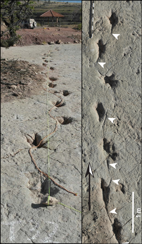 Pegadas fossilizadas de dinossauro terópode em Torotoro, Bolívia